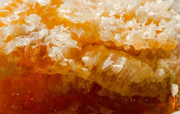 Close up Honey comb — Stock Photo, Image