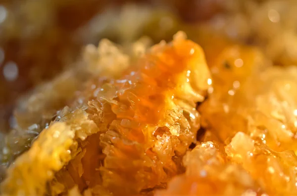 Close up Honey comb — Stock Photo, Image