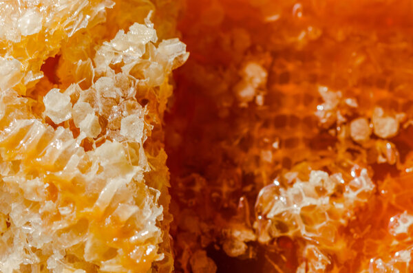 Закрыть расческу
