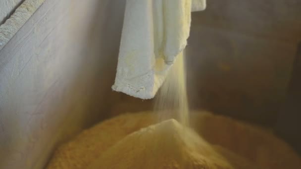 Flour Mill  working — Stock Video