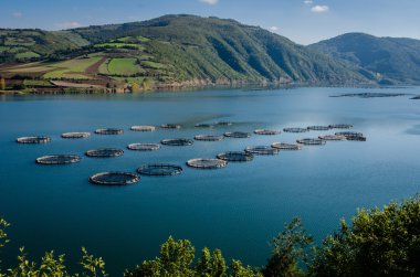 Balık çiftlikleri Nehri üzerinde