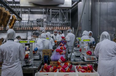 Istanbul, Türkiye - 3 Ekim 2012: Müslüman kadın işçilerin bir tavuk eti tesisinde çalışma