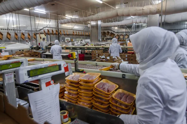 ISTANBUL, TURQUÍA - 3 DE OCTUBRE DE 2012: Trabajadoras musulmanas trabajando en una planta de carne de pollo —  Fotos de Stock