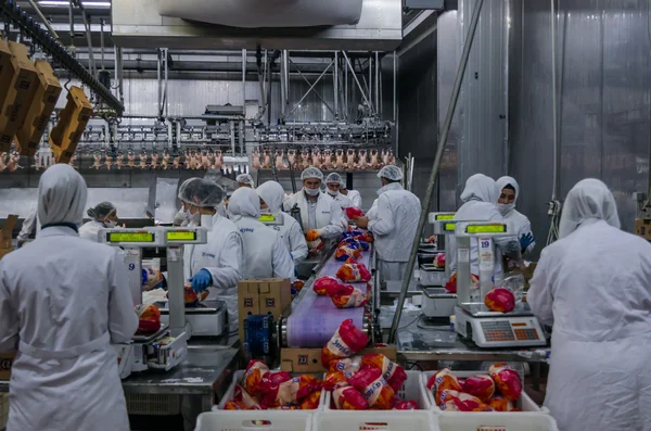 ISTANBUL, TURQUÍA - 3 DE OCTUBRE DE 2012: Trabajadoras musulmanas trabajando en una planta de carne de pollo —  Fotos de Stock