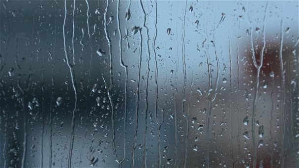 Rain drops running down a window pane and a tree is shaking in the wind — Stock Video