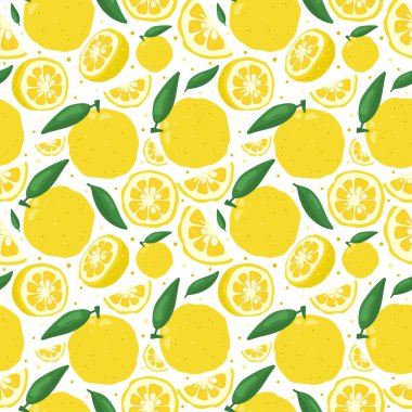Yuzu Japon Citron meyvesi dikişsiz desenli vektör çizimi beyaz arka planda izole edildi.