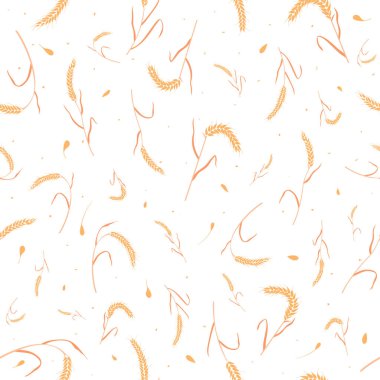 Kusursuz desenli tam tahıl tohumları organik, doğal kulaklar beyaz arka planda izole..