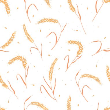 Kusursuz desenli tam tahıl tohumları organik, doğal kulaklar beyaz arka planda izole..