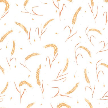 Kusursuz desenli tam tahıl tohumları organik, doğal kulaklar beyaz arka planda izole..