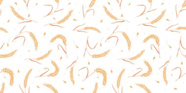 Kusursuz desenli tam tahıl tohumları organik, doğal kulaklar beyaz arka planda izole..