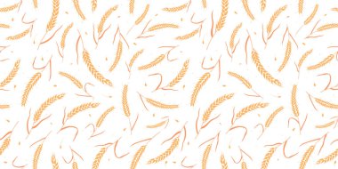 Kusursuz desenli tam tahıl tohumları organik, doğal kulaklar beyaz arka planda izole..