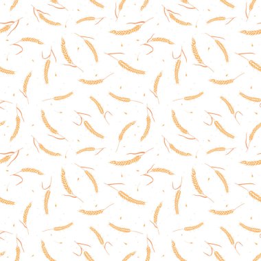 Kusursuz desenli tam tahıl tohumları organik, doğal kulaklar beyaz arka planda izole..