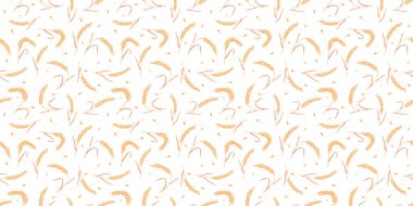 Kusursuz desenli tam tahıl tohumları organik, doğal kulaklar beyaz arka planda izole..