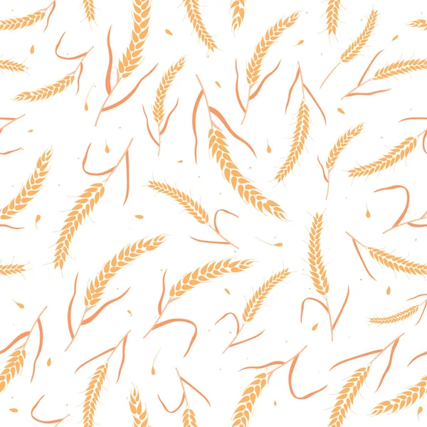 Kusursuz desenli tam tahıl tohumları organik, doğal kulaklar beyaz arka planda izole.