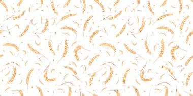 Kusursuz desenli tam tahıl tohumları organik, doğal kulaklar beyaz arka planda izole..