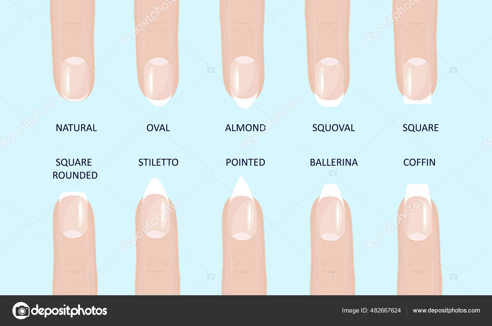 Manicure Most Popular Fashion Nail Shapes Flat Style Vector Illustration Set Isolated Light Blue Background Stock Vector Image By C Mironovkonstantin