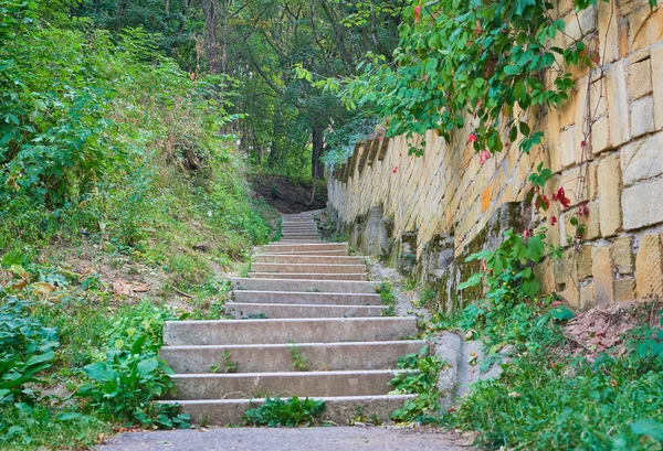 Steen van de trap in Park — Stockfoto