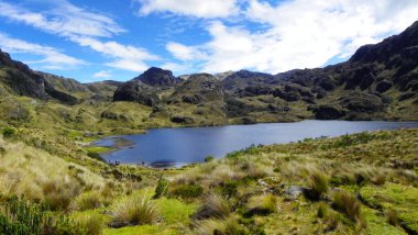 Toreadora Gölü (Laguna La Toreadora) Cajas Ulusal Parkı 'nda. And Dağları, Azuay 'ın batısında Cuenca, Güney Amerika, Ekvador' dan.