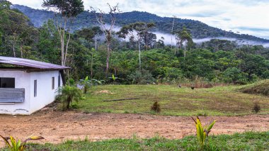 Puchimi, Morona Santiago Eyaleti, Amazonia (Oriente), Ekvador 'daki küçük Puchimi köyünü çevreleyen yemyeşil tropikal manzaranın panoramik manzarası.
