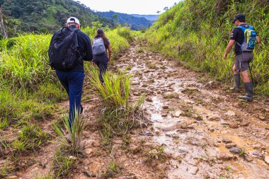 Morona Santiago Eyaleti, Ekvador - 2 Kasım 2025: Ekvador 'un Amazon bölgesindeki Morona Santiago bölgesindeki Patuca bölgesinde Puchimi Topluluğu' nun kırsal tepelerinde çamurlu bir patika boyunca yürüyen yürüyüşçüler