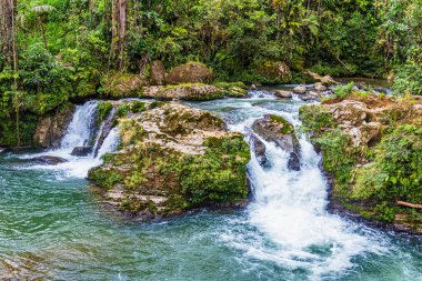 Namancuntza Şelalesi, kristal berrak su ve 15 metre yüksekliğindeki Puchimi, Morona-Santiago Eyaleti, Amazonia (Oriente), Ekvador 'da yer alır..