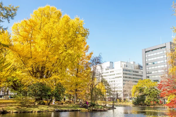 Autum in Japón, Japón — Foto de Stock