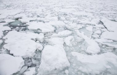 Yüzen buzdağı deniz, Hokkaido, Japonya Japonya