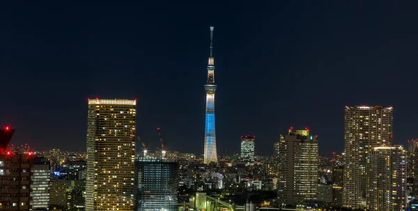 Nachtsicht, Tokio, Japan. — Stockfoto