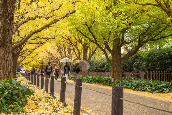 Icho Namiki Street in Tokyo, Japan on The street nearby Meiji J — Stock Photo, Image