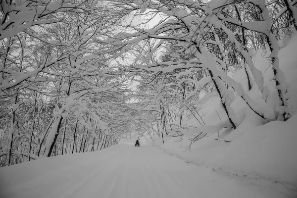 Snow on the montain, Hokaido — Stock Photo, Image