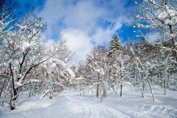 Snow on the montain, Hokaido — Stock Photo, Image