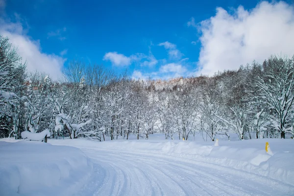 Snow on the montain, Hokaido — Stock Photo, Image