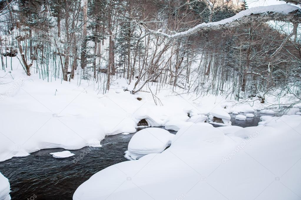Winter season in Hokkaido.