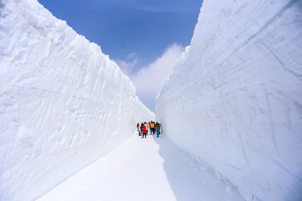 Снежная стена в Татеяме — стоковое фото