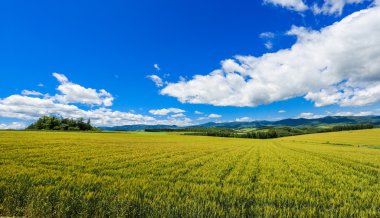 uzak alan, Hokkaido, tarım