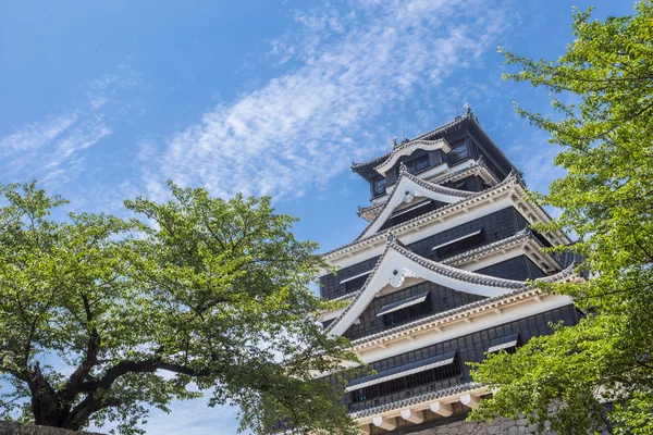 El Castillo Kumamoto es un castillo japonés en Kumamo, en la cima de una colina. — Foto de Stock