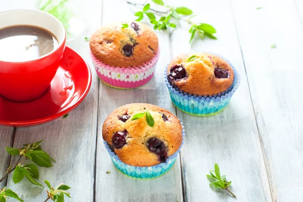 Muffins with cherry — Stock Photo, Image