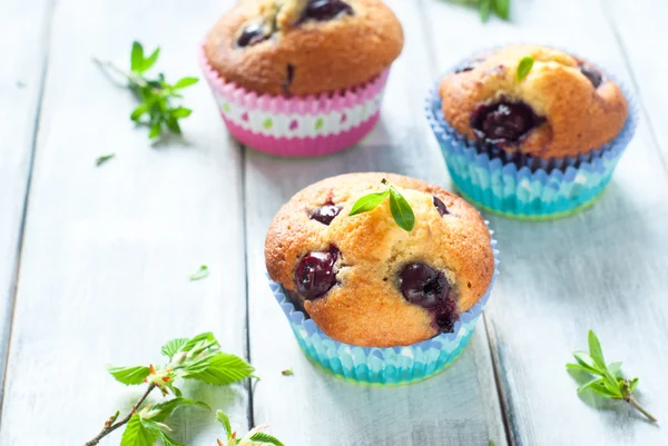 Muffins with cherry — Stock Photo, Image