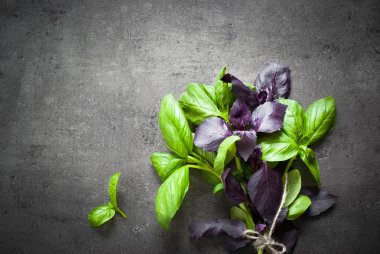 Yeşil ve mor fesleğen.