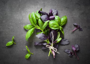 Yeşil ve mor fesleğen.