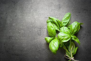 Karanlık fesleğen yaprağı.