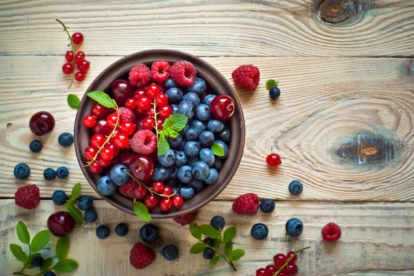 Various  summer berries — Stock Photo, Image