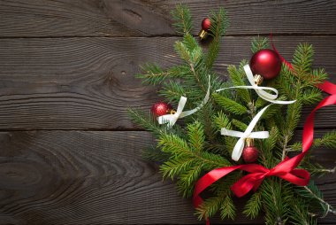 Noel köknar ağacı dalı