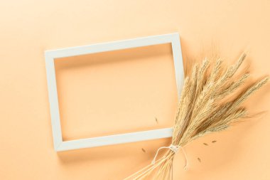 Fotoğraf çerçevesi pastel arkaplanda.