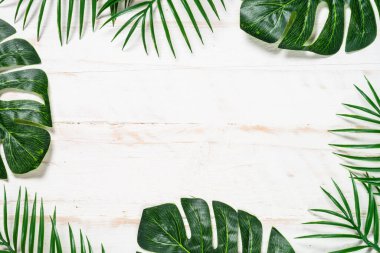 Beyaz ahşap arkaplan görünümlü palmiye yaprakları.
