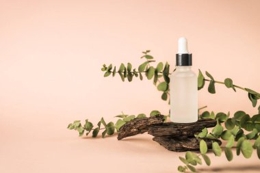 Pastel arka planda taze yapraklı serum şişesi..