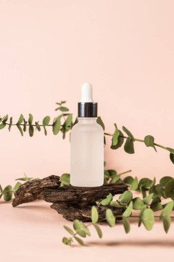 Pastel arka planda taze yapraklı serum şişesi..