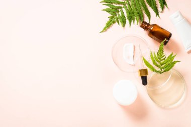 Kozmetik ürünleri ve yeşil bitkilerle dolu cam petri kabı.