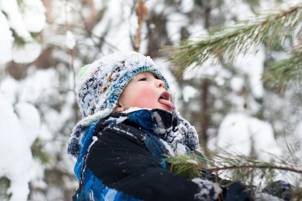 Cheerful boy playing in winter — Stock Photo, Image