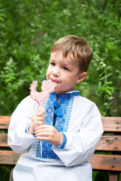 小乌克兰吃棒棒糖的公鸡 — 图库照片